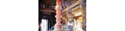 232. திருப்பாதிரிப் புலியூர்
